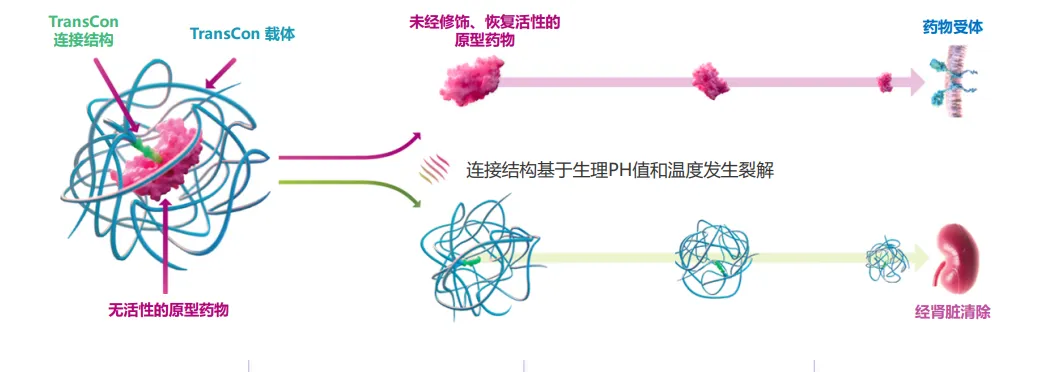 1727599177528739.png 640.png