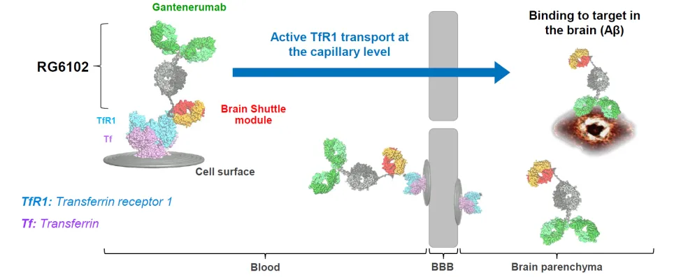 1730191488180701.png 640.png