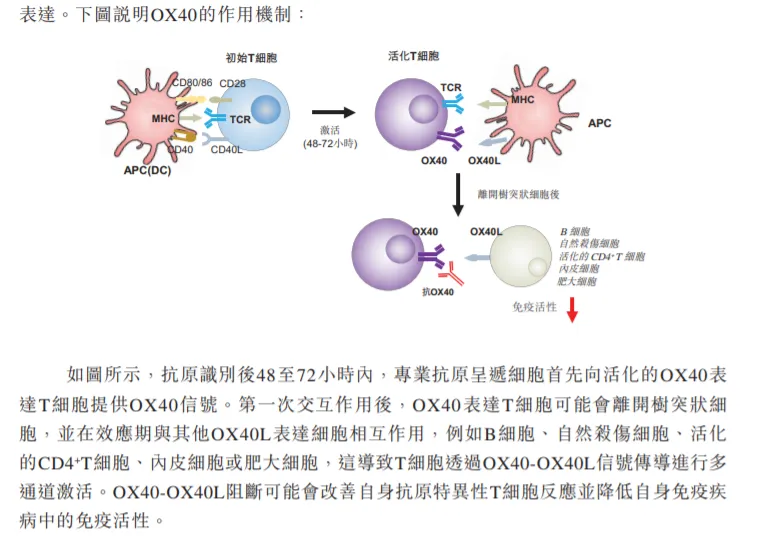 1732696149317749.png 640.png