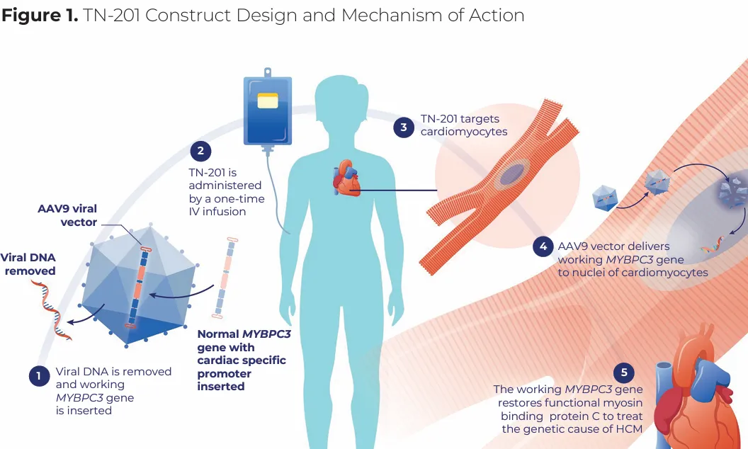 1734683199519304.png 640.png