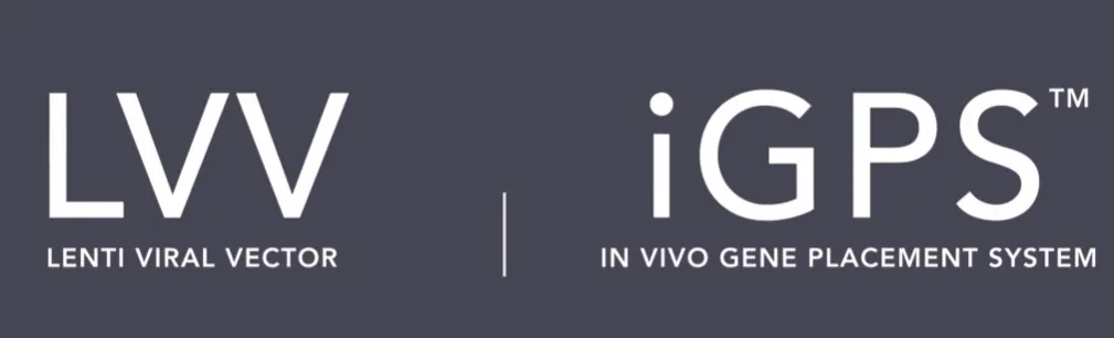 1764145449132592.png 640.png