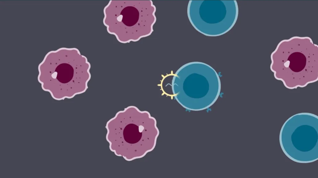 1764145491256273.png 640.png